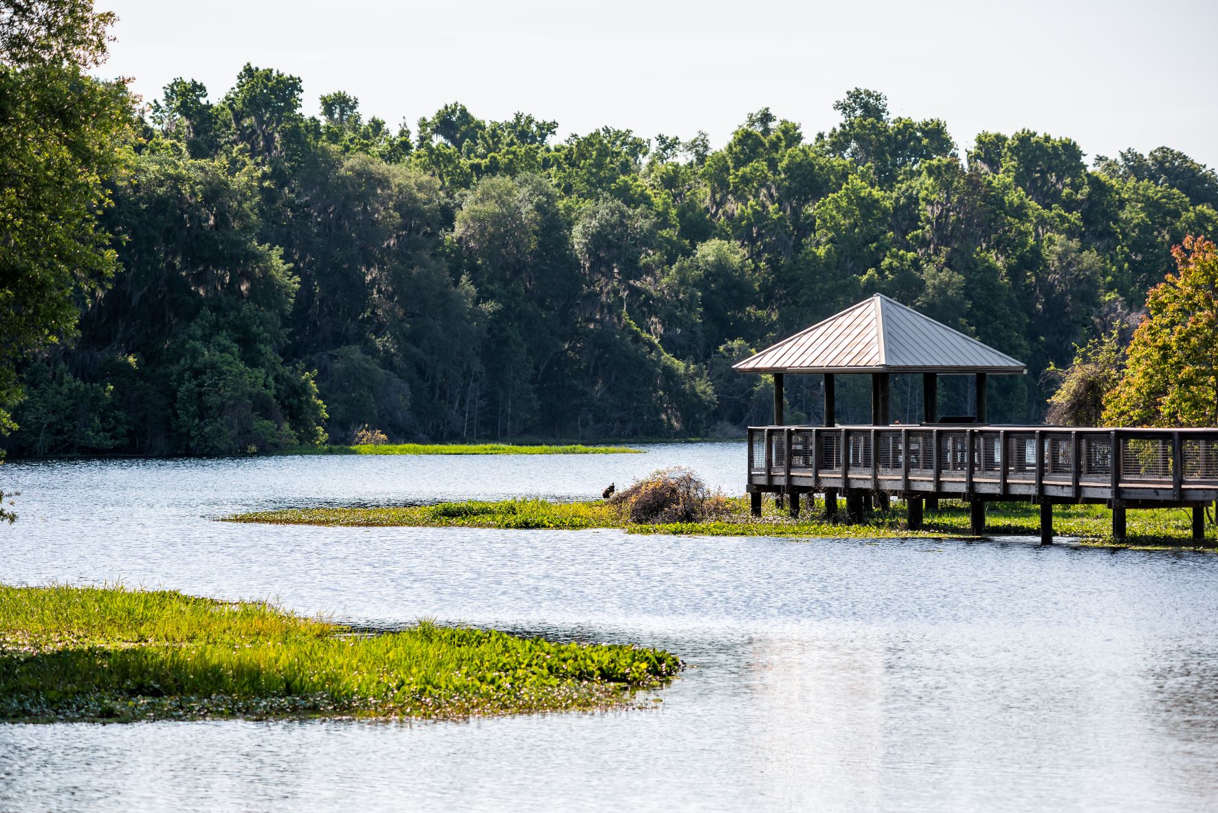 Redfin Gainesville Fl